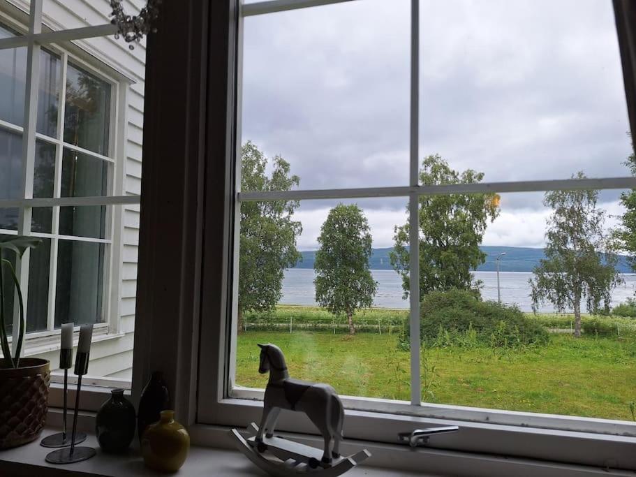 Privat Leilighet Pa Gard Med Badstue Og Nordlys Narvik Exteriér fotografie