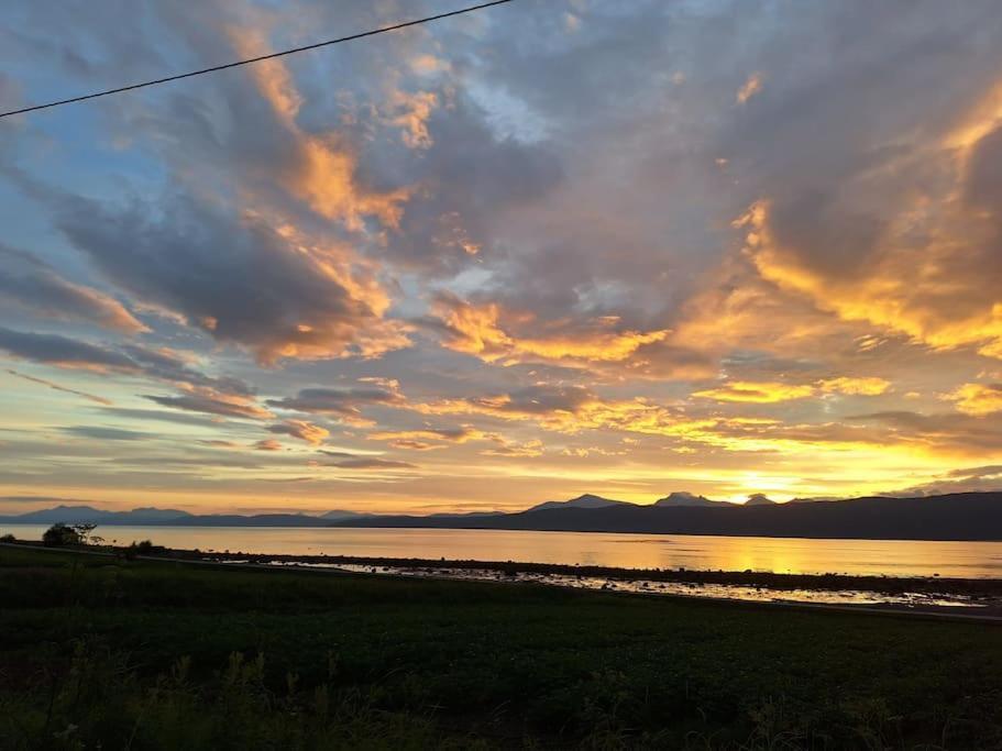 Privat Leilighet Pa Gard Med Badstue Og Nordlys Narvik Exteriér fotografie
