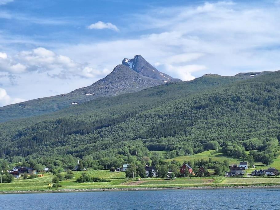 Privat Leilighet Pa Gard Med Badstue Og Nordlys Narvik Exteriér fotografie