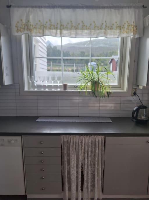 Privat Leilighet Pa Gard Med Badstue Og Nordlys Narvik Exteriér fotografie
